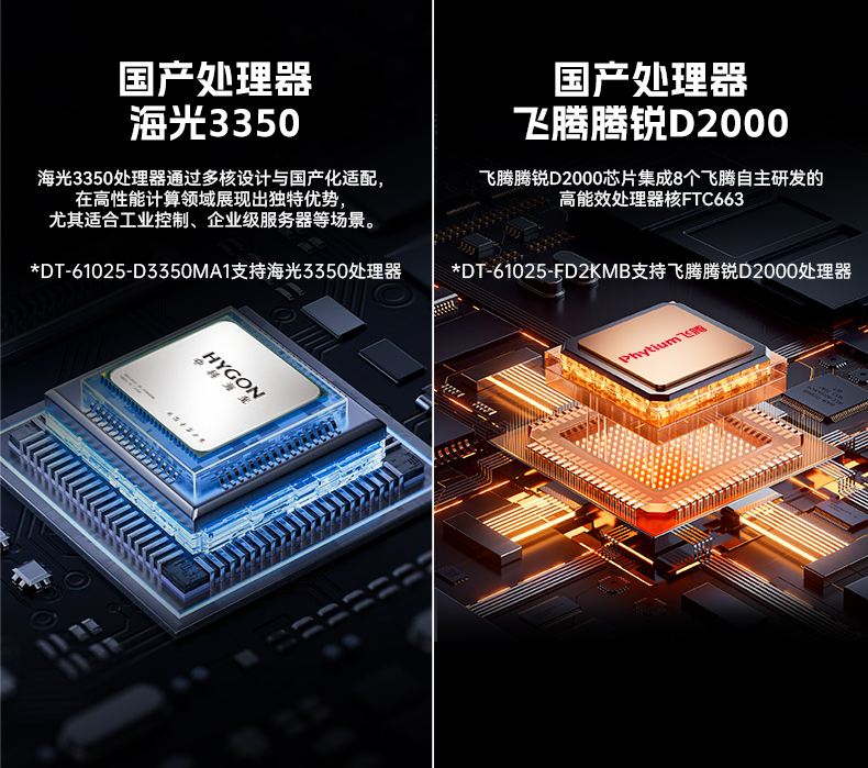 乐鱼国产海光工控机,双显工控上位机,DT-61025-D3350MA1.jpg